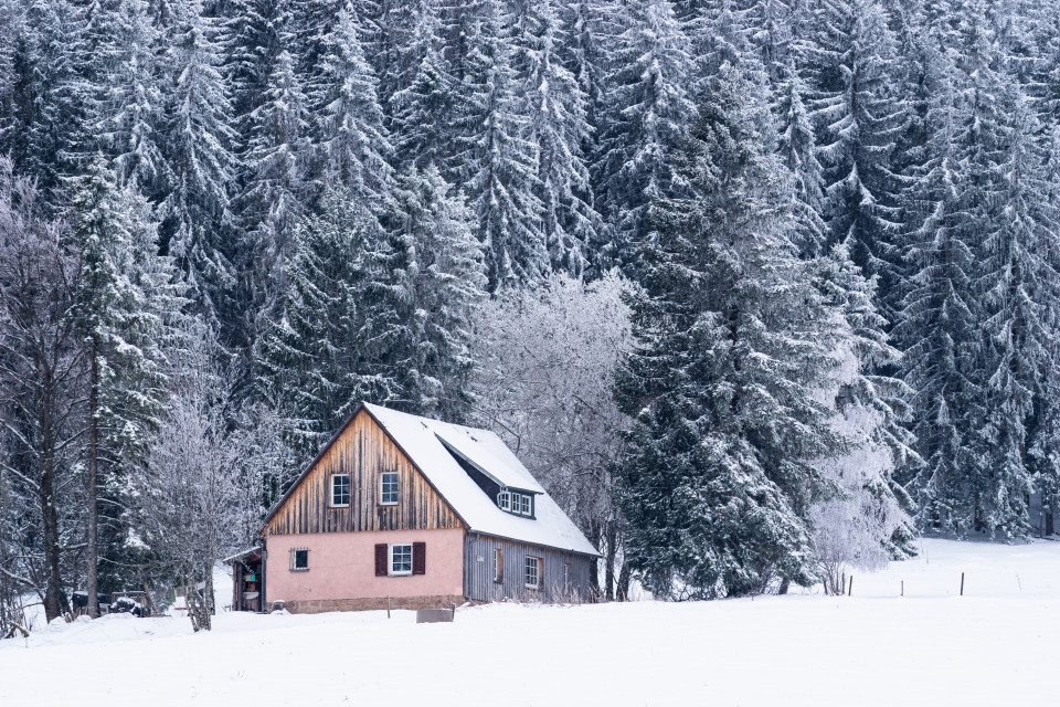 Neuschnee bei Bärental