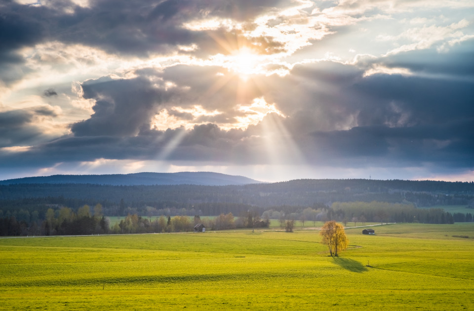 Abendsonne bei Rötenbach