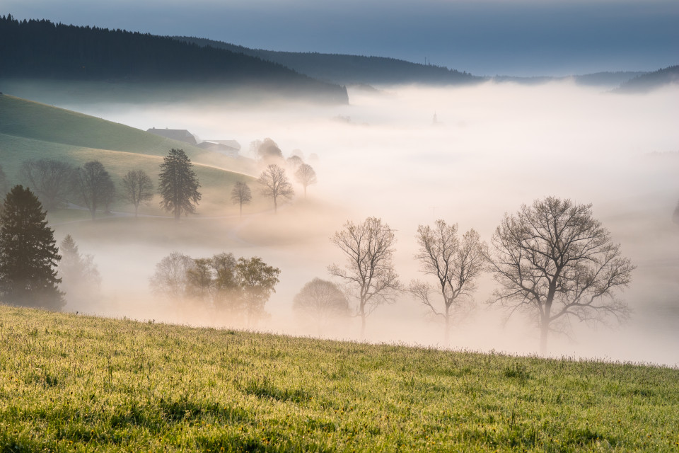 Schollach im Morgennebel