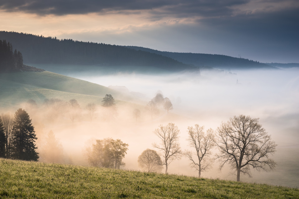 Schollach im Morgennebel