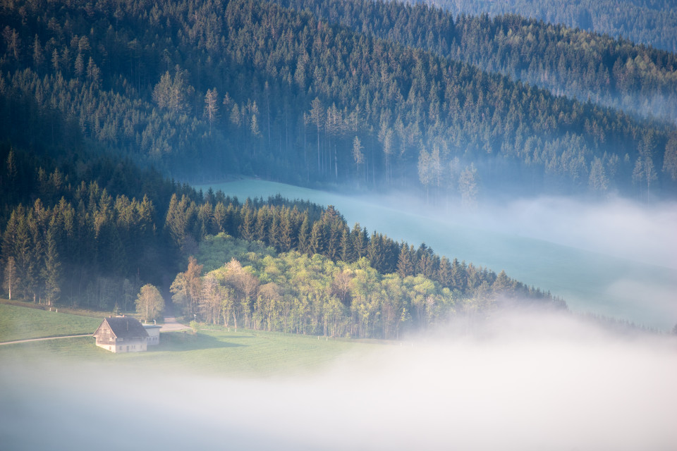 Schwärzenbach, Aussicht beim Haberjockelshof