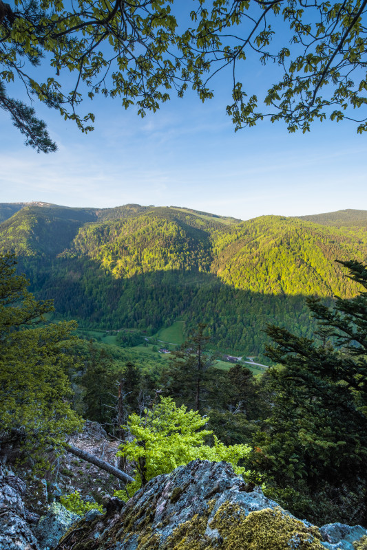 Zastlertalblick am Oberen Jägerpfad