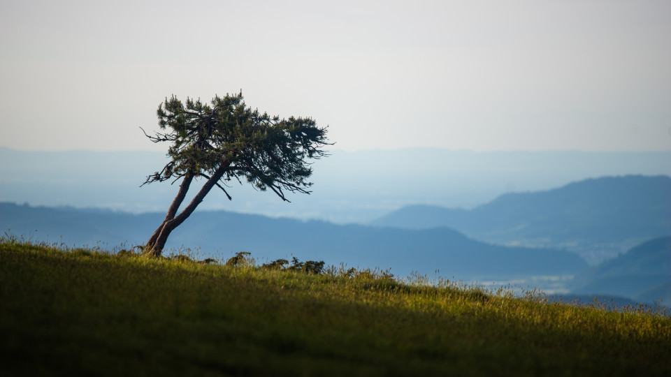 Aussicht bei der Schwedenschanze