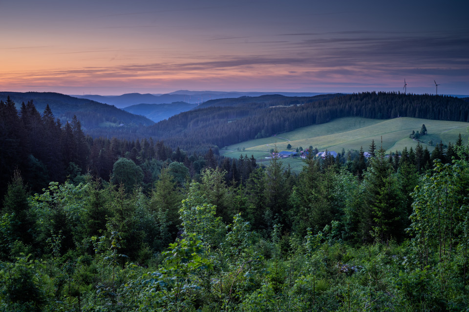 Blick über das obere Elztal