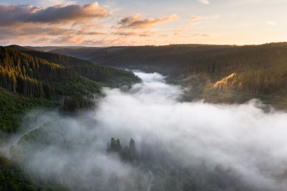 Gutachtal mit Morgennebel