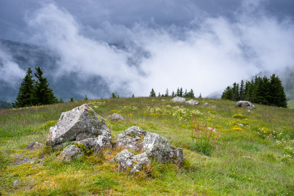 Hinterwaldkopf bei Schauerwetter
