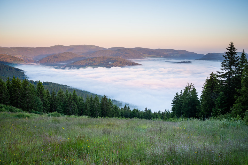 Morgennebel unter dem Hochfirst