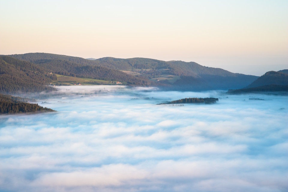 Morgennebel unter dem Hochfirst