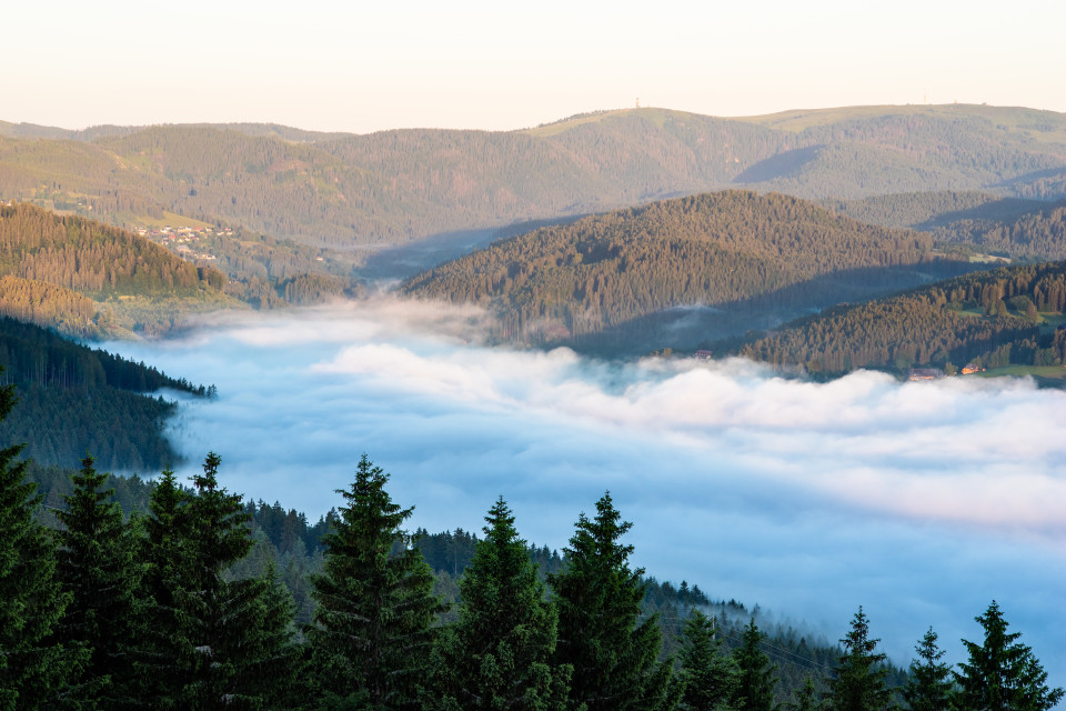 Morgennebel unter dem Hochfirst