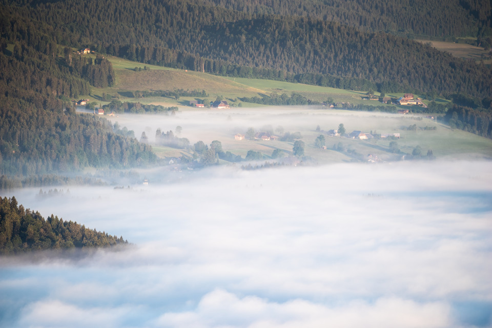 Blick vom Hochfirst über Hinterzarten (im Nebel)