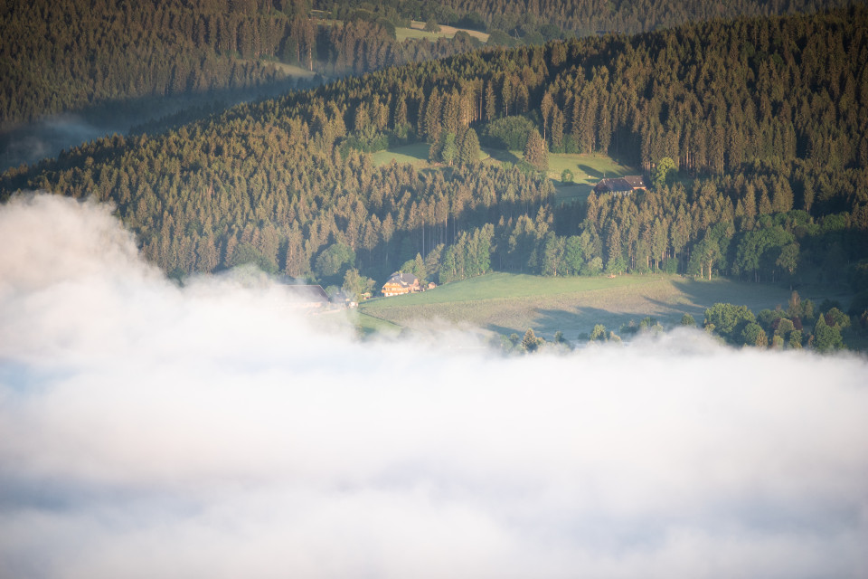 Blick auf Weberhof und Bankenhansenhof