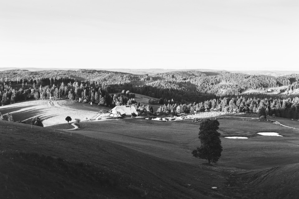 Blick von der Schwedenschanze über den Schänzlehof