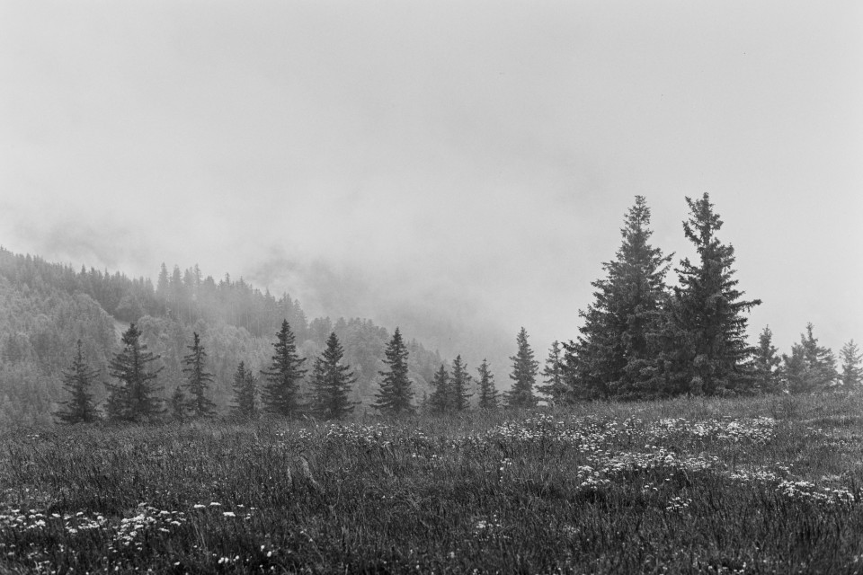 Hinterwaldkopf bei Regen