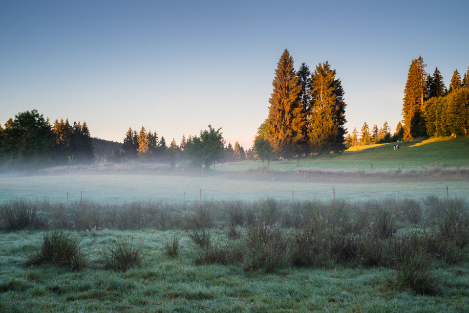 Morgenstimmung beim Bankenhansenhof