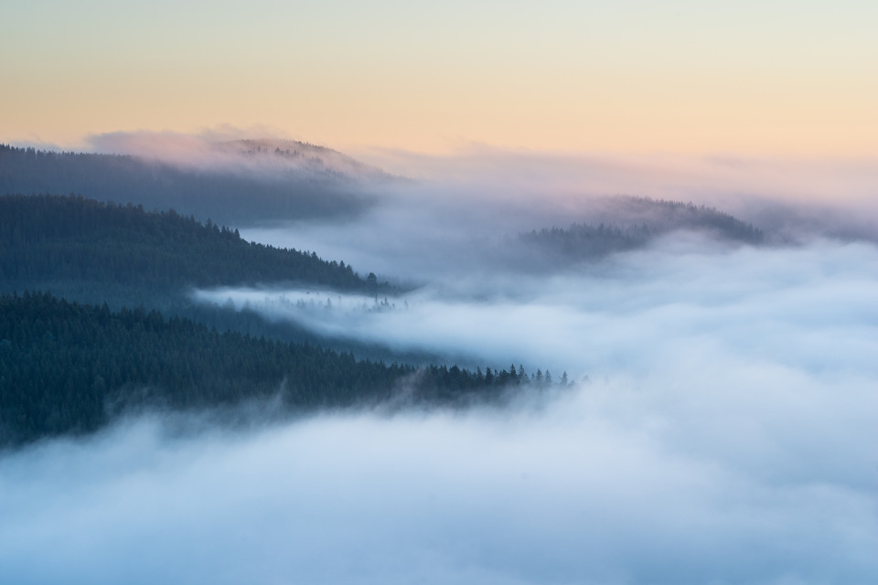 Morgennebel über dem Seebachtal