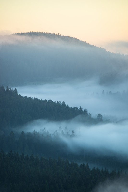 Morgennebel über dem Seebachtal