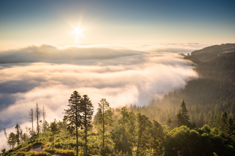 Morgennebel über dem Seebachtal