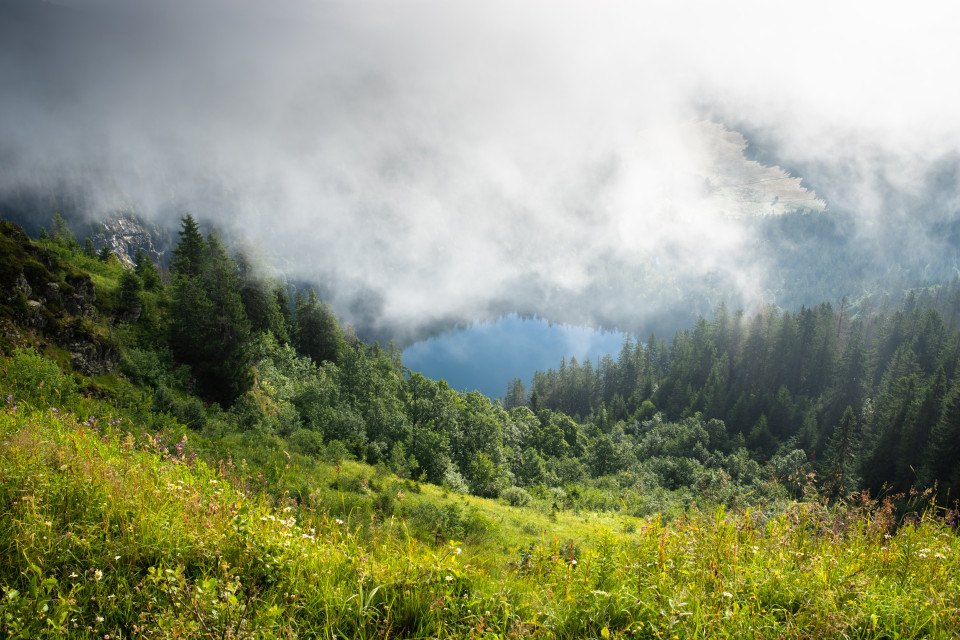 Seebuck, Feldseeblick