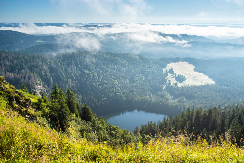 Seebuck, Feldseeblick