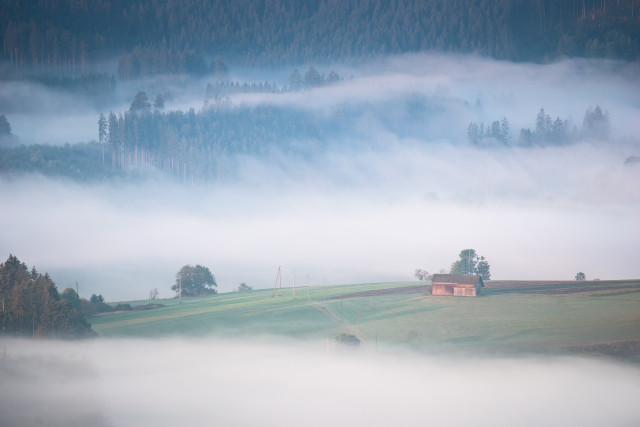 Frühnebel bei Kappel