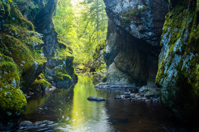 Haslachschlucht