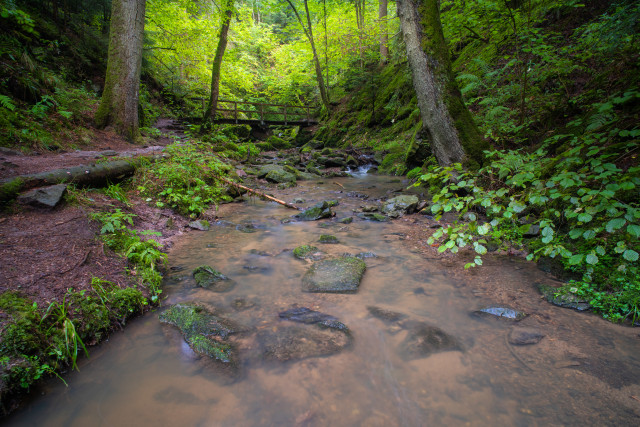 Obere Lotenbachklamm