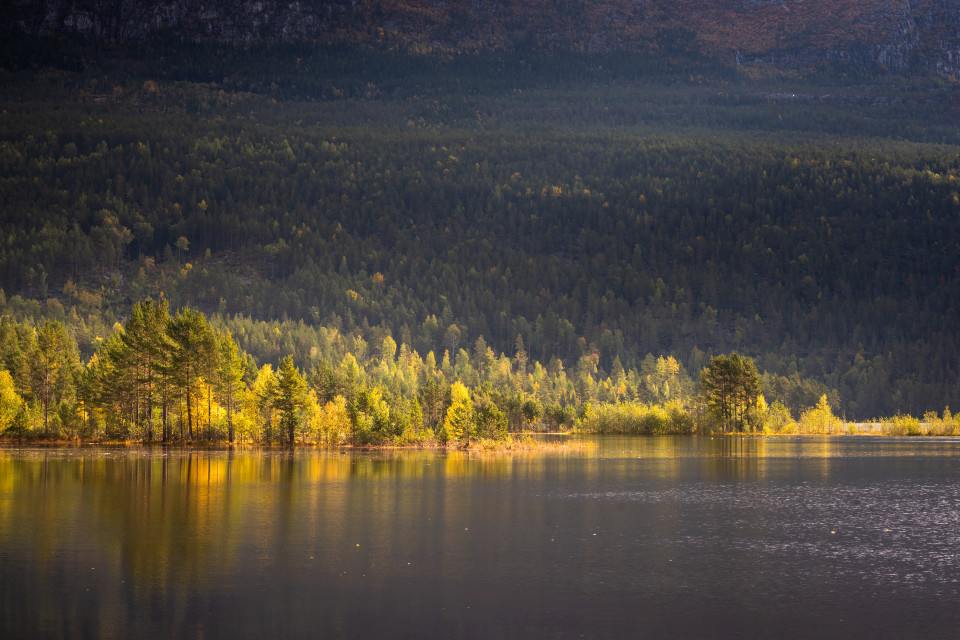 Sandvatn