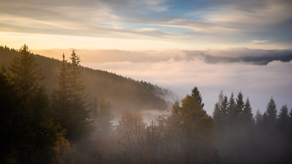 Blick vom Bildstein auf den Nebel über dem Schluchsee