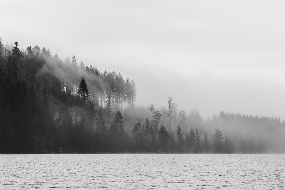 Herbststimmung am Windgfällweiher