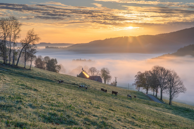 Sonnenaufgang, Spriegelsbach