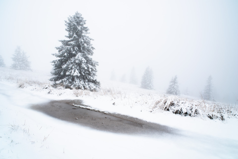 Erster Schnee auf dem Feldberg