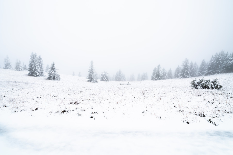 Erster Schnee auf dem Feldberg