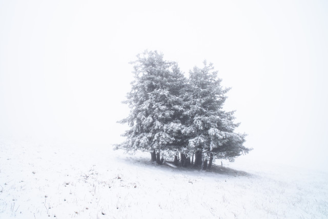 Erster Schnee auf dem Feldberg