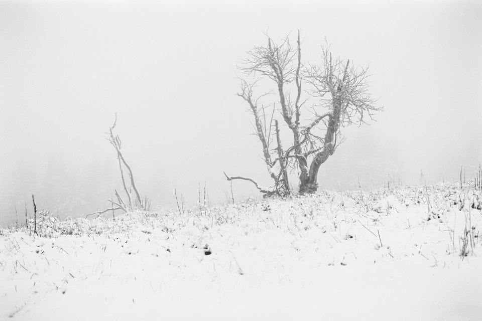 Erster Schnee auf dem Feldberg