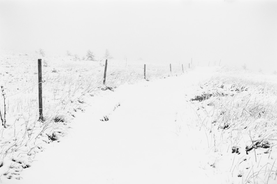 Erster Schnee auf dem Feldberg