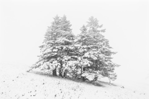 Erster Schnee auf dem Feldberg