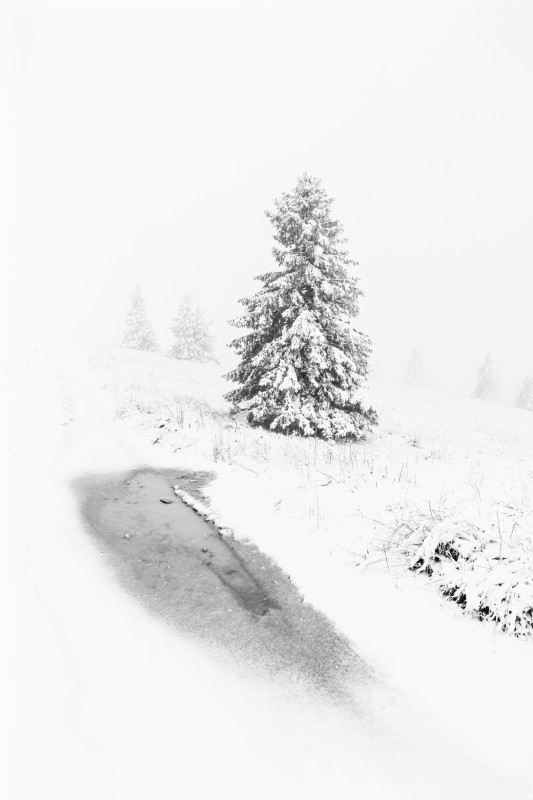 Erster Schnee auf dem Feldberg