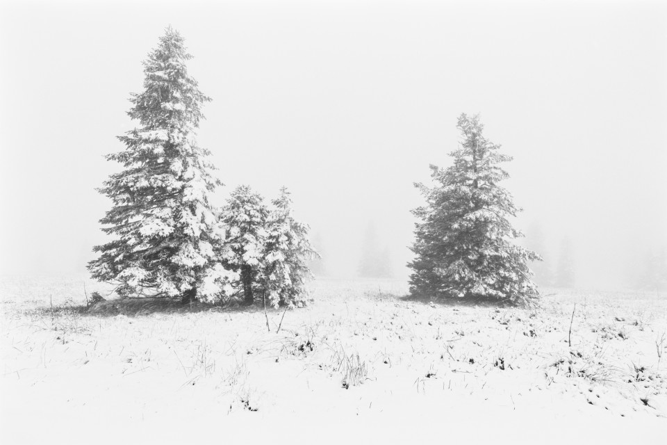 Erster Schnee auf dem Feldberg