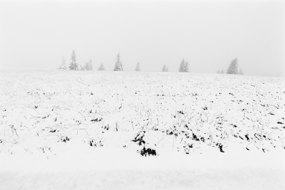 Erster Schnee auf dem Feldberg