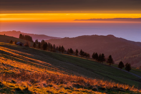 Abendstimmung bei Inversionswetterlage am Schauinsland