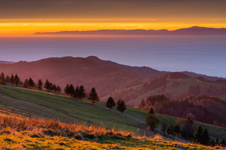 Abendstimmung bei Inversionswetterlage am Schauinsland