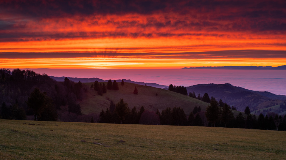 Abendstimmung bei Inversionswetterlage am Schauinsland