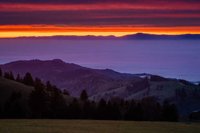 Abendstimmung bei Inversionswetterlage am Schauinsland