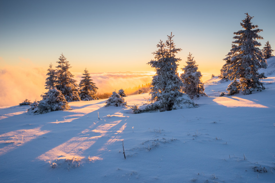 Wintermorgen auf dem Baldenweger Buck