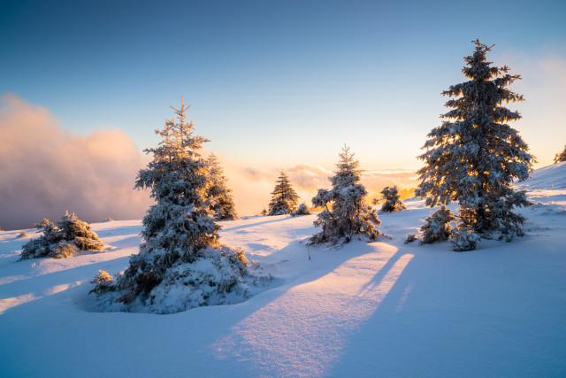 Wintermorgen auf dem Baldenweger Buck