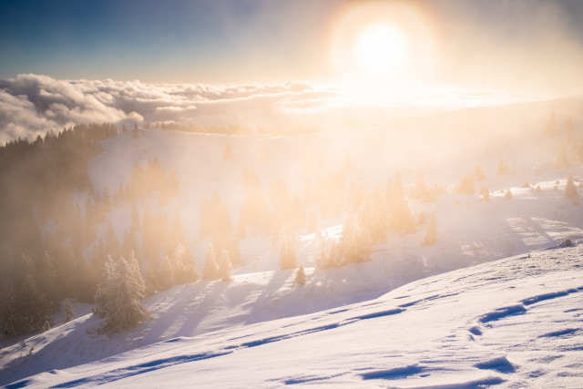 Wintermorgen auf dem Baldenweger Buck