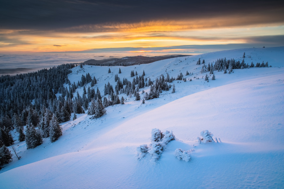 Wintermorgen, Baldenweger Buck