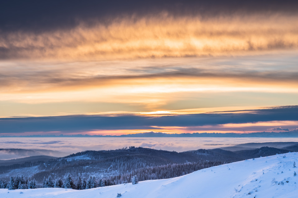 Wintermorgen, Baldenweger Buck