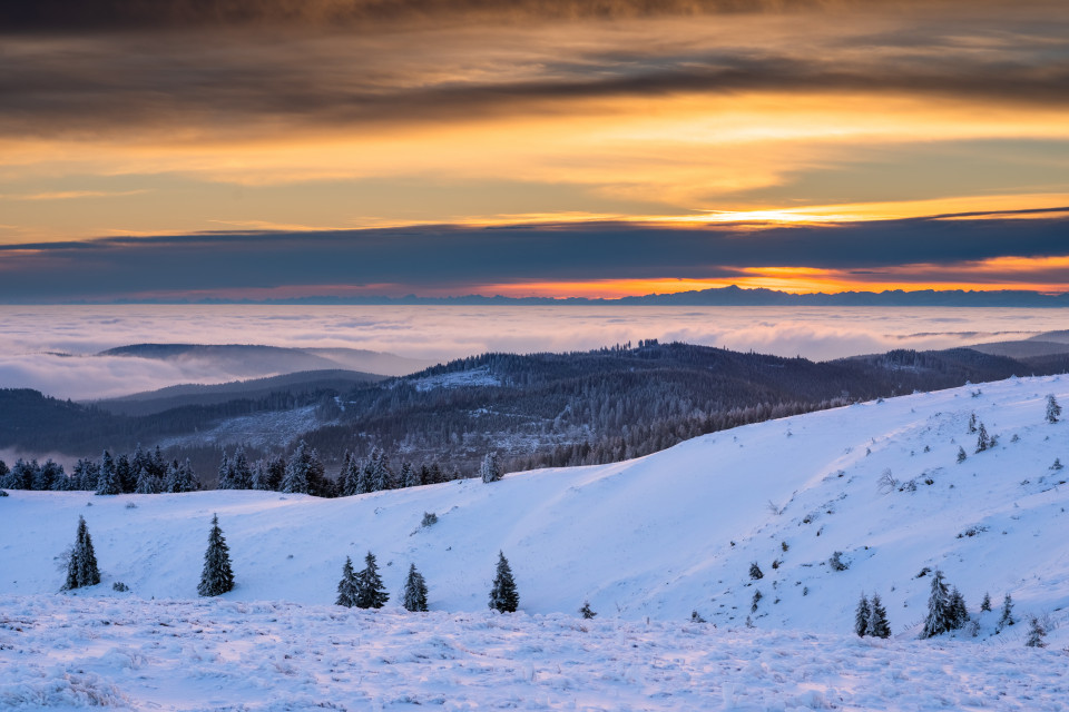 Wintermorgen, Baldenweger Buck