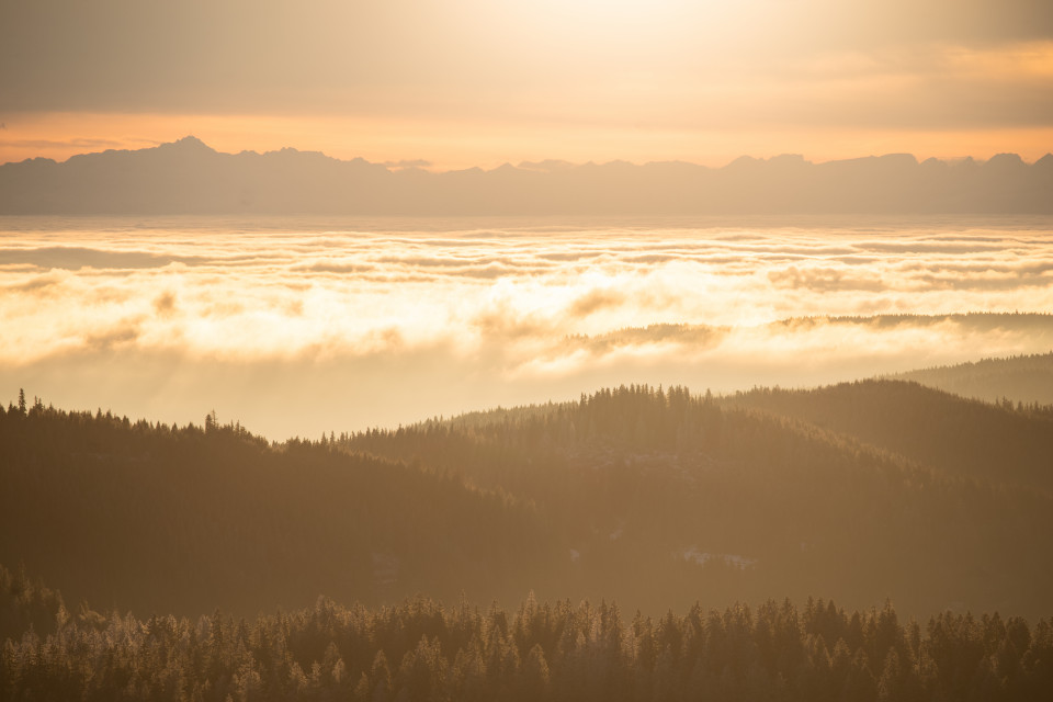 Inversion mit Alpenblick im Morgenlicht